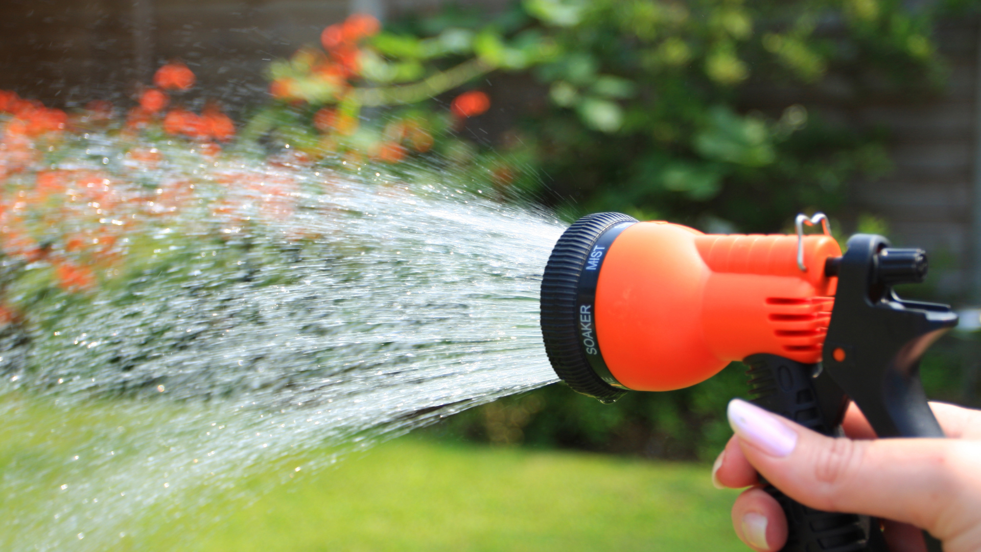 Hybrid Water Solutions water backup (2)