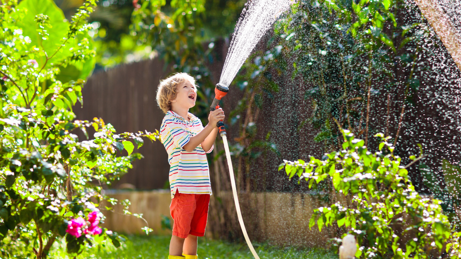Hybrid Water Solutions water backup (4)