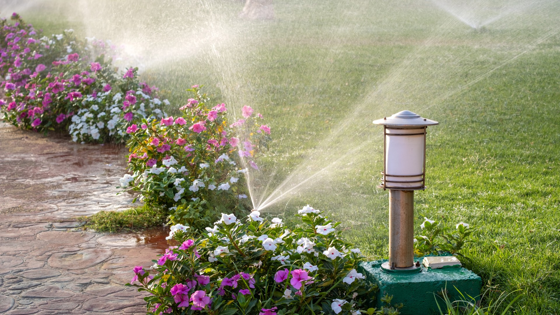 Irrigation south africa near me (3)