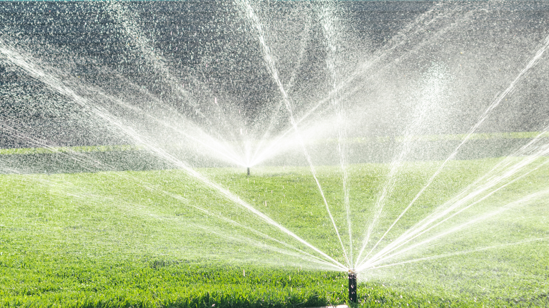 Irrigation south africa near me (4)